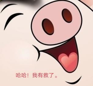 今天眉山东坡区肥猪价-今天眉山东坡区肥猪价格多少
