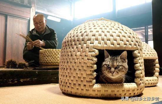 微商婴幼儿面食怎么样