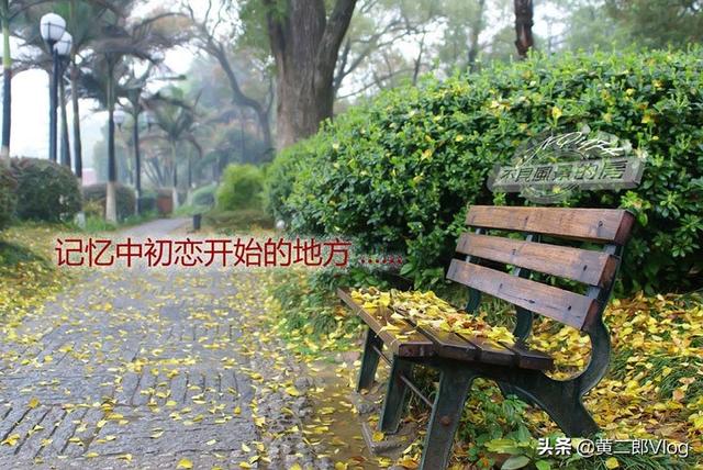 初恋的滋味_初恋的滋味2电视剧中文字幕版