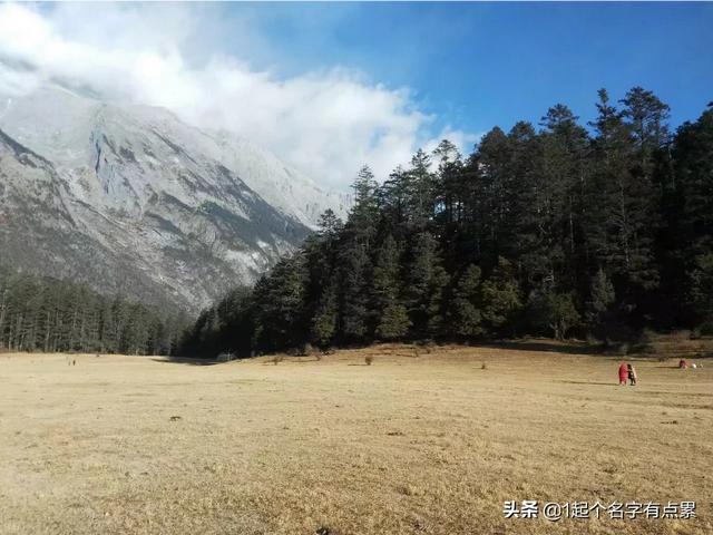 太和县圆通快递的费用，太和县圆通快递的费用怎么收