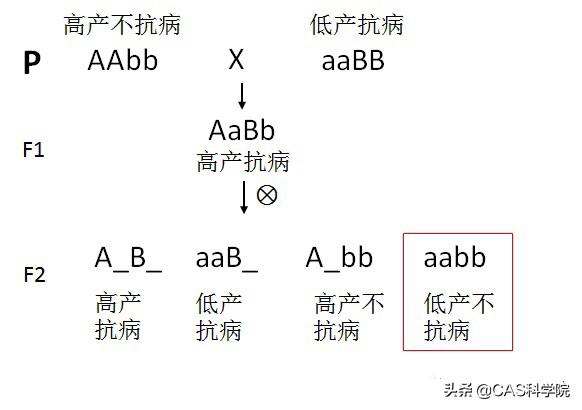 花卉的培育意义?花卉的培育意义是什么!