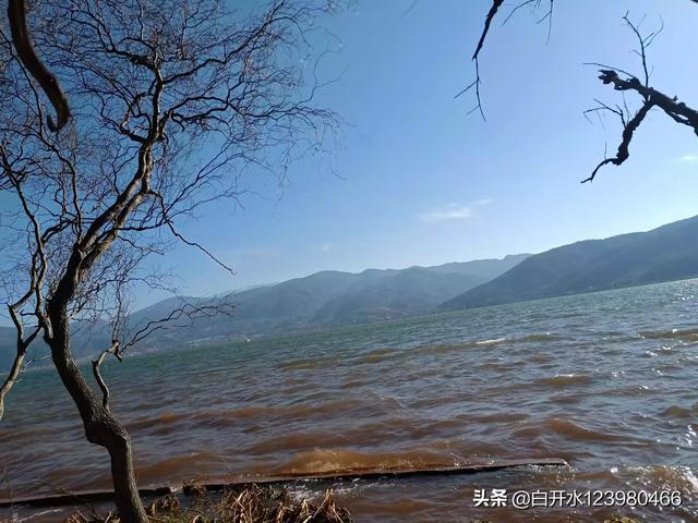 云南昆明市晋宁区吃刨猪汤农家乐预定电话,晋宁扒猪脚图片