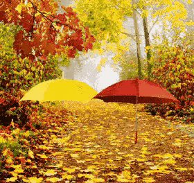 轮回之章羽翼装备合成 轮回之章 羽翼攻略-第4张图片-Game优搜