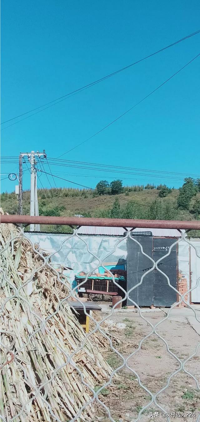 羊圈舍图片大全 五百只羊的标准圈舍？