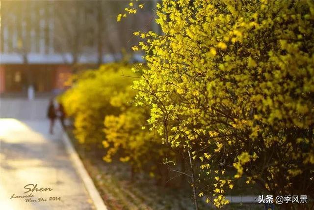 爱吃水果的女人有什么好处(图11)