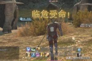 FF14陆行鸟升级哪里快？ff14陆行鸟券怎么获得？