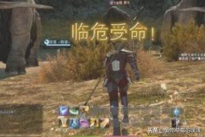 最终幻想FF14陆行鸟怎么获得