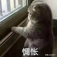 惆怅的意思（黯然惆怅的意思）