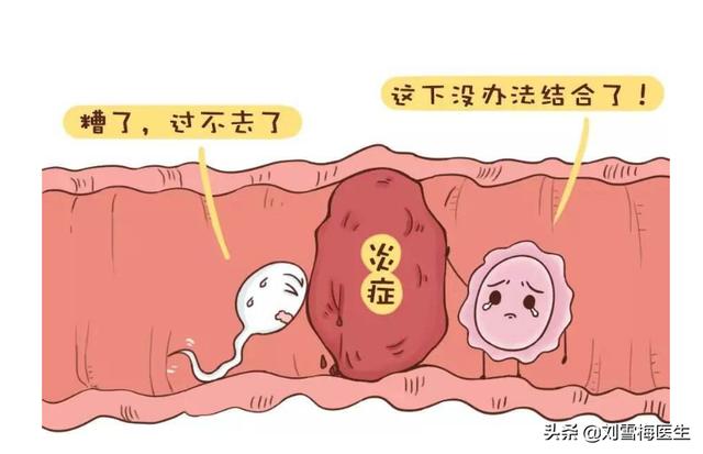 怎么证明输卵管是通的