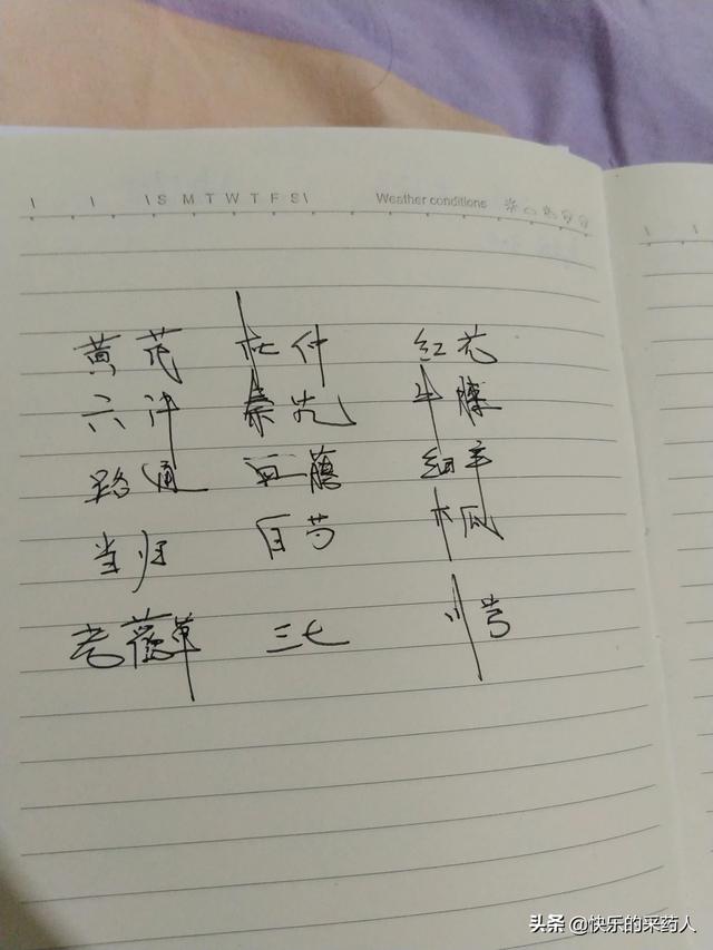 广州市番禺区有什么中医馆