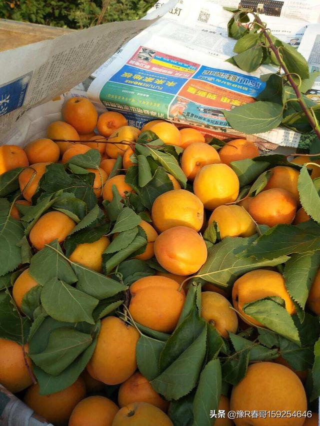 开发app客户需求