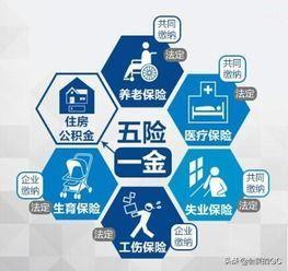 五险一金指的是哪些，五险一金指的是哪些项目