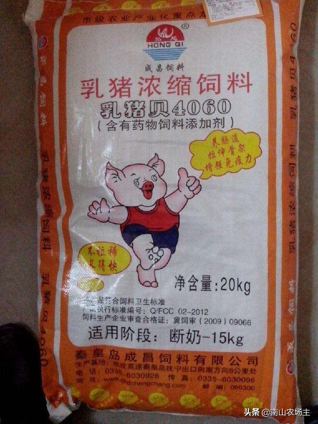 过期饲料养猪会发生什么情况？