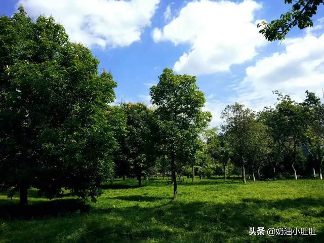 成都空气能热水器-成都空气能热水器厂家