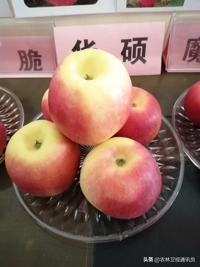 阿克苏mg汽车报价,阿克苏新车报价