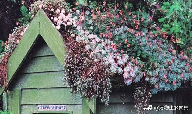 屋顶花园绿化种植层,屋顶花园绿化种植层厚度要求