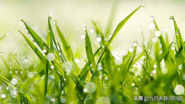 雨有什么功效(图13)