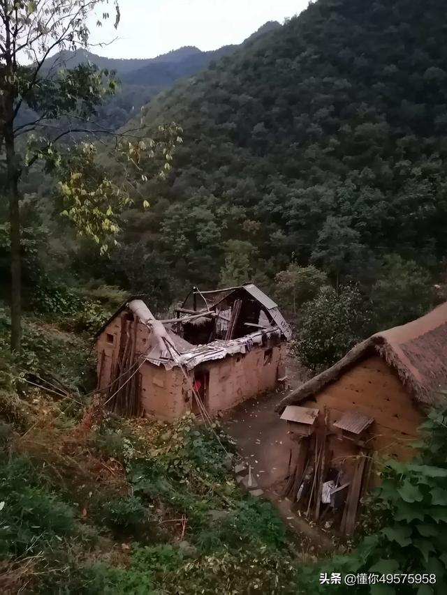 小孩买什么保险最好最划算，小孩买什么保险最好最划算中国人寿