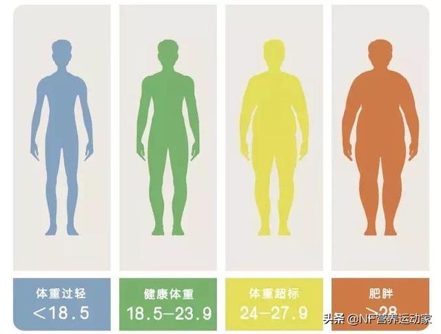 如何正确减肥方法