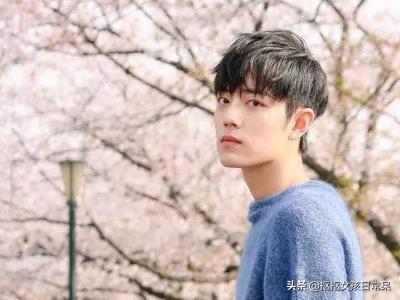 写肖战外貌和性格的英语作文