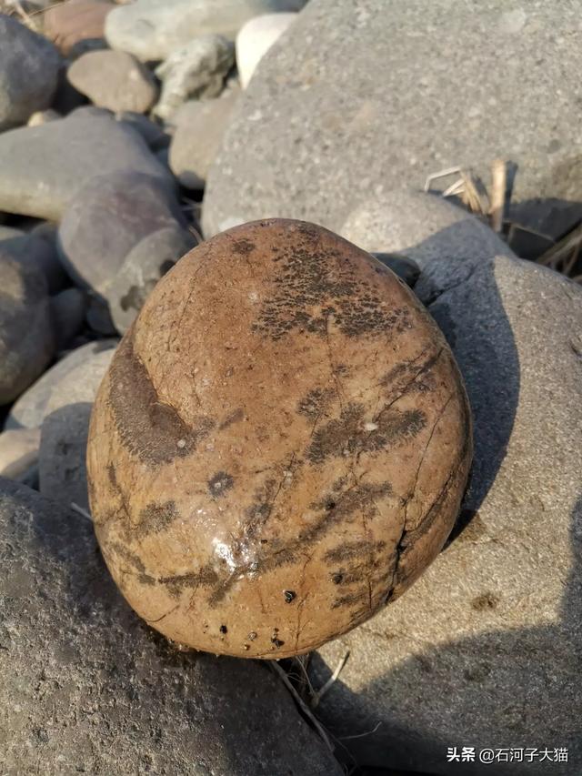 乌兰察布市四子王旗纸飞机账号购买经验