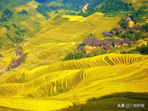 几月份去桂林最好？