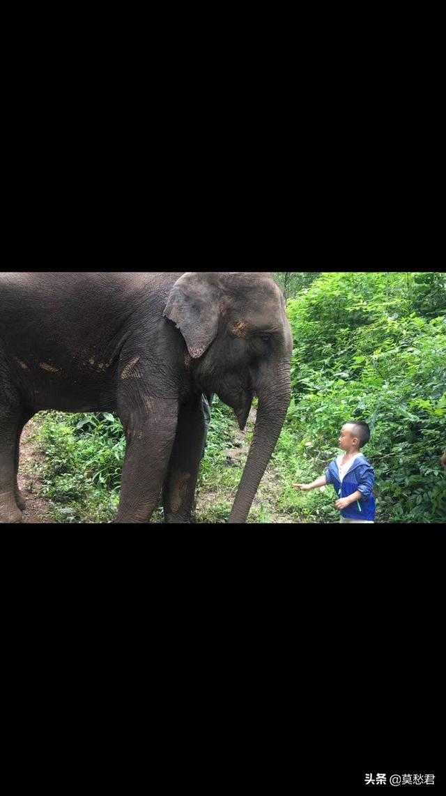 去云南旅游，到当地抱团比较好还是跟团直接去好