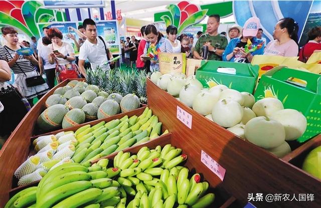 餐厅花卉图片?餐厅花卉图片大全!