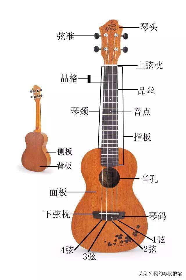什么乐器好学乐理知识，什么乐器好学乐理知识呢