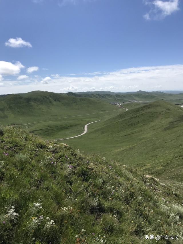 大草原旅游景点大全， 大草原旅游景点大全图片