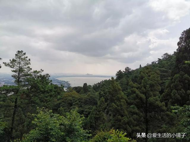 红河哪里有果园种植的,红河哪里有果园种植的地方