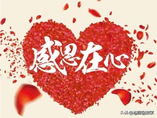 找狗?找狗最有效的方法!