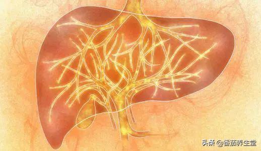 老公那个不行怎么调理(图15)