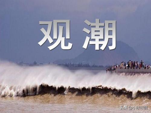 钱塘江同志又立功了新闻