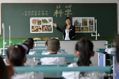 大专生能当小学老师吗，大专生能当小学老师吗考编制