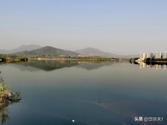 杨柳到泾阳地铁路线，到杨柳怎么走