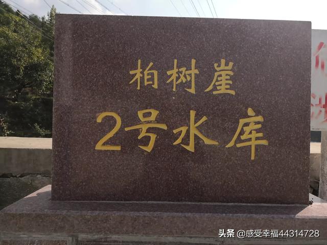 海外生活103，海外生活英文