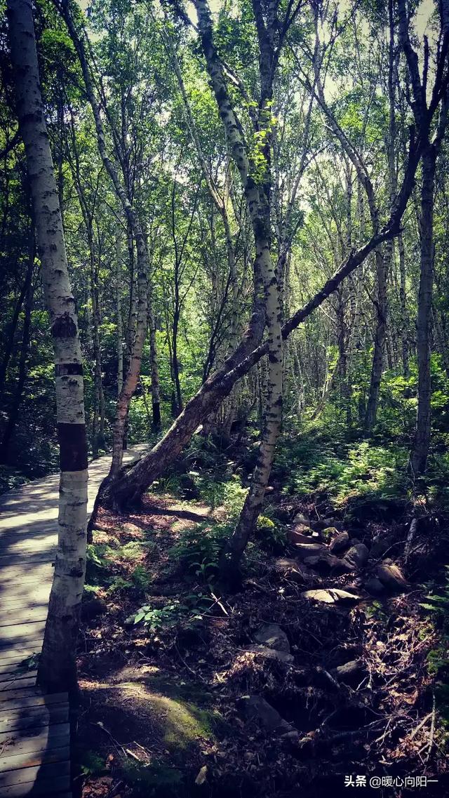 唐山一日游必去的景点