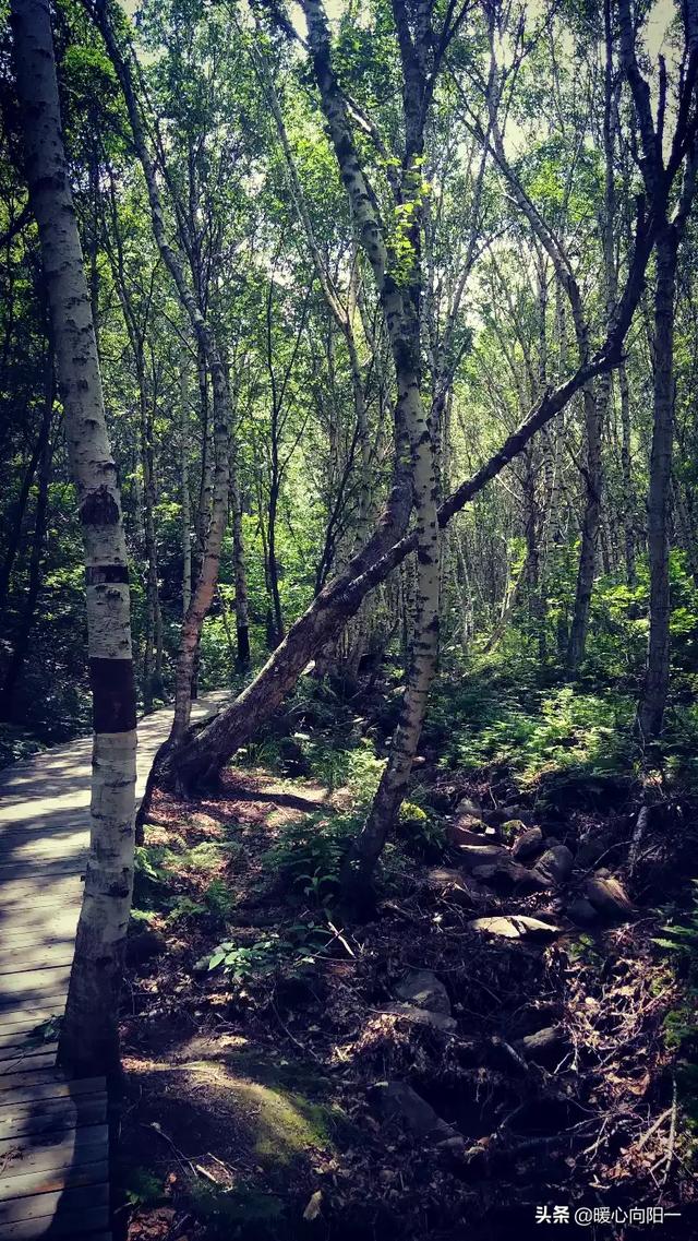 唐山附近一日游景点自驾游，唐山附近一日游景点自驾游带孩子