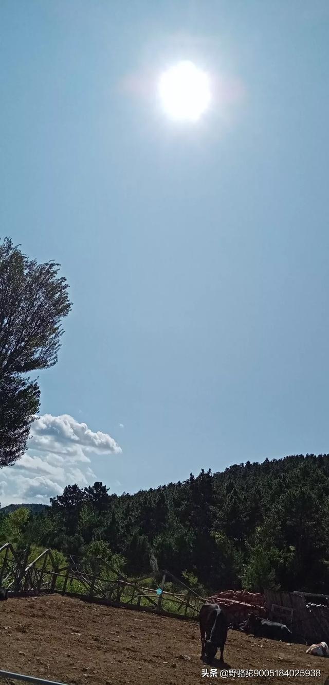 朝阳旅游景点大全排名， 辽宁朝阳旅游景点大全排名