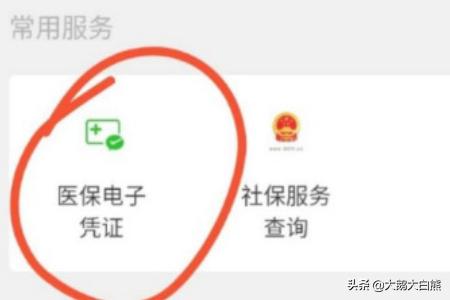 医保电子凭证app下载国家医保服务平台 医保电子凭证app-第5张图片-Game优搜