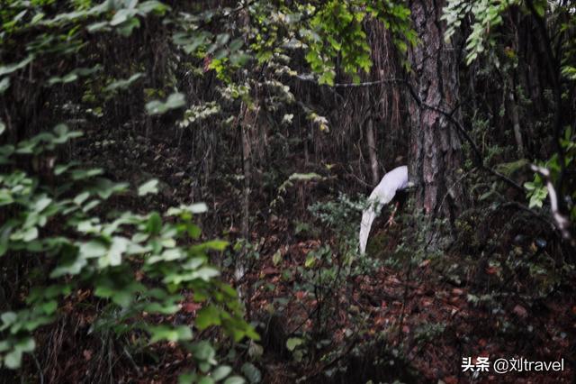 福建带妹子旅游怎么样