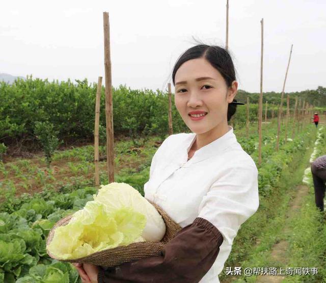 中国保险业的发展史_中国保险业未来发展前景如何？