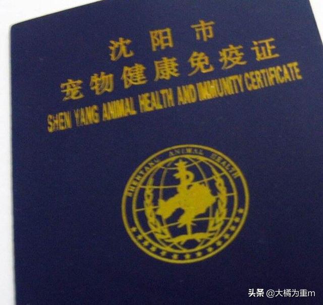 沈阳市狗证怎么办