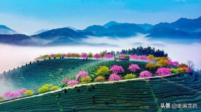 福建省龙岩哪里风景最美？