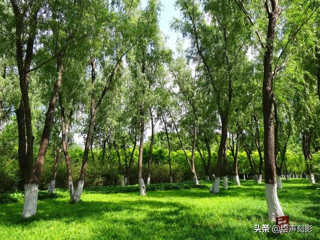 济南市里公园哪个好玩儿