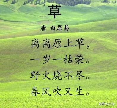 赋得古原草送别怎么背（赋得古原草送别讲解视频）