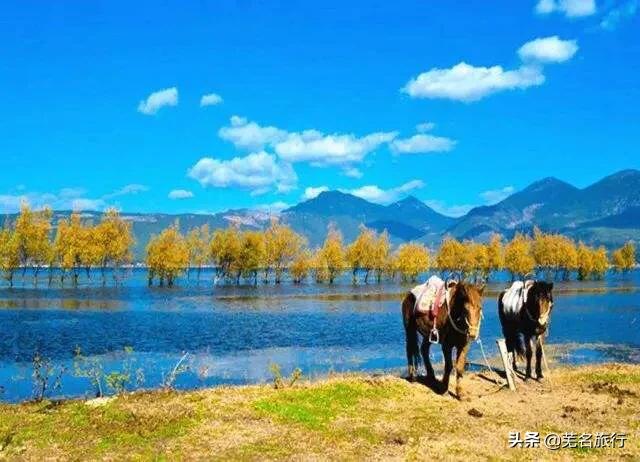 丽江哪些是必去景点的(图6)