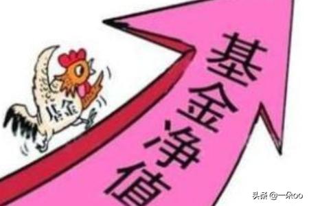 基金怎么看多少钱一份