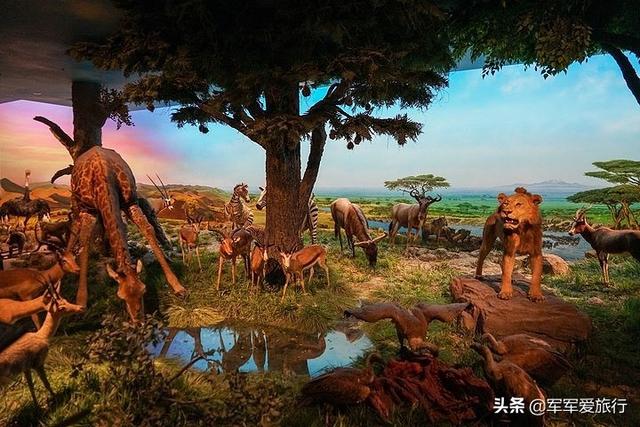 带孩子老人旅游景点大全， 带老人小孩旅游景点